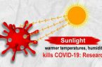 آیا نور خورشید در تابستان می‌تواند کروناویروس را غیرفعال یا کم فعال کند؟!!